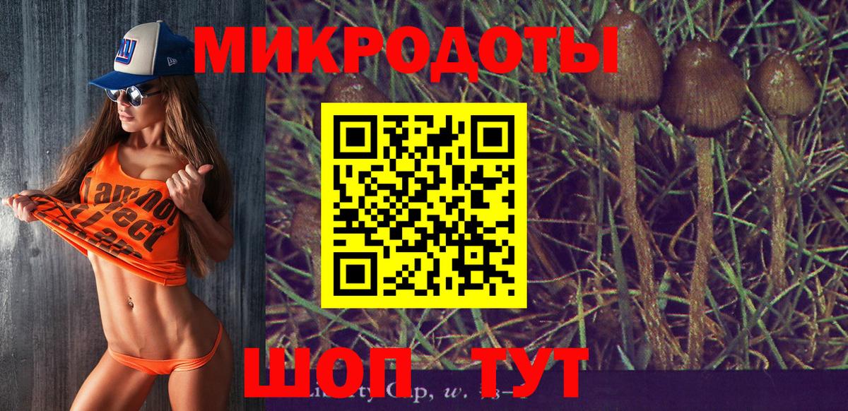 Псилоцибиновые грибы MAGIC MUSHROOMS  продажа наркотиков  Галлюциногенные грибы мухоморы  Южноуральск  Вход с VPN 