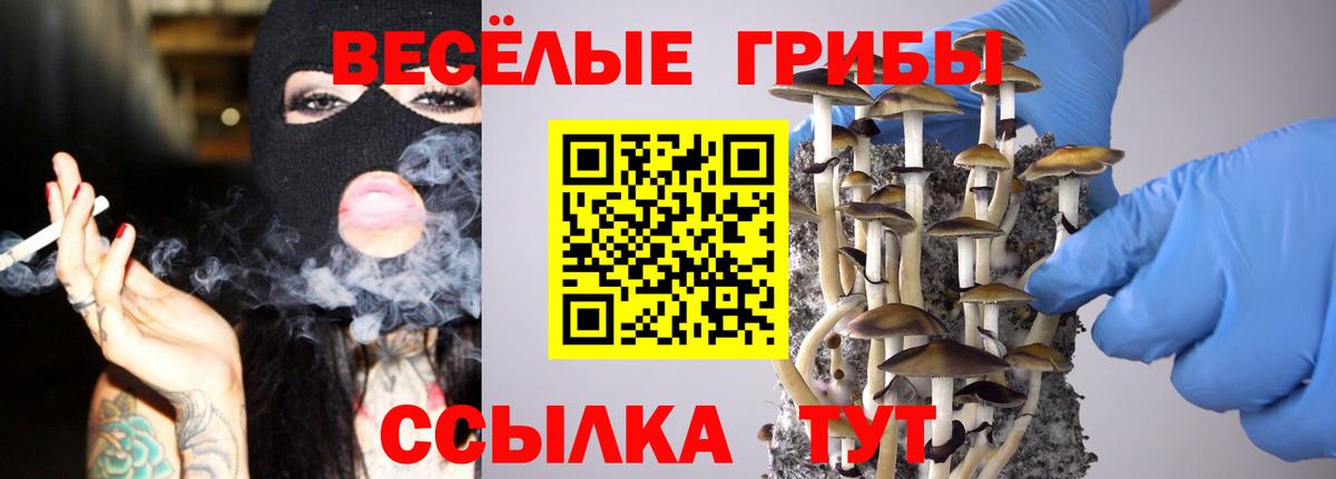 Галлюциногенные грибы MAGIC MUSHROOMS Южноуральск